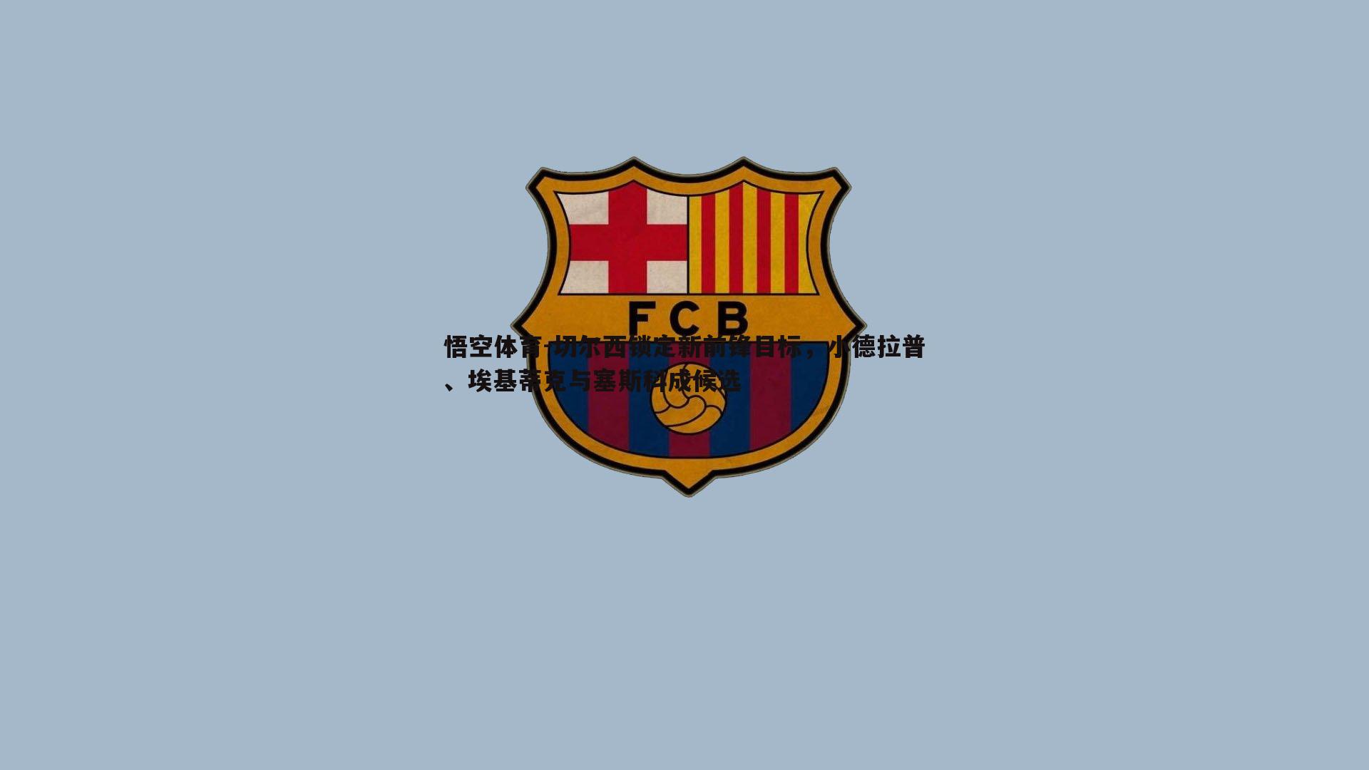 切尔西锁定新前锋目标，小德拉普、埃基蒂克与塞斯科成候选