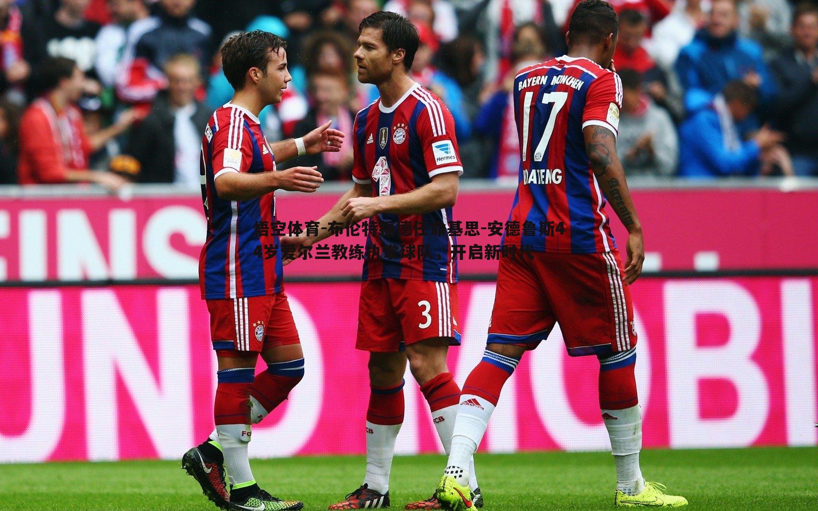 布伦特福德任命基思-安德鲁斯44岁爱尔兰教练执掌球队,开启新时代